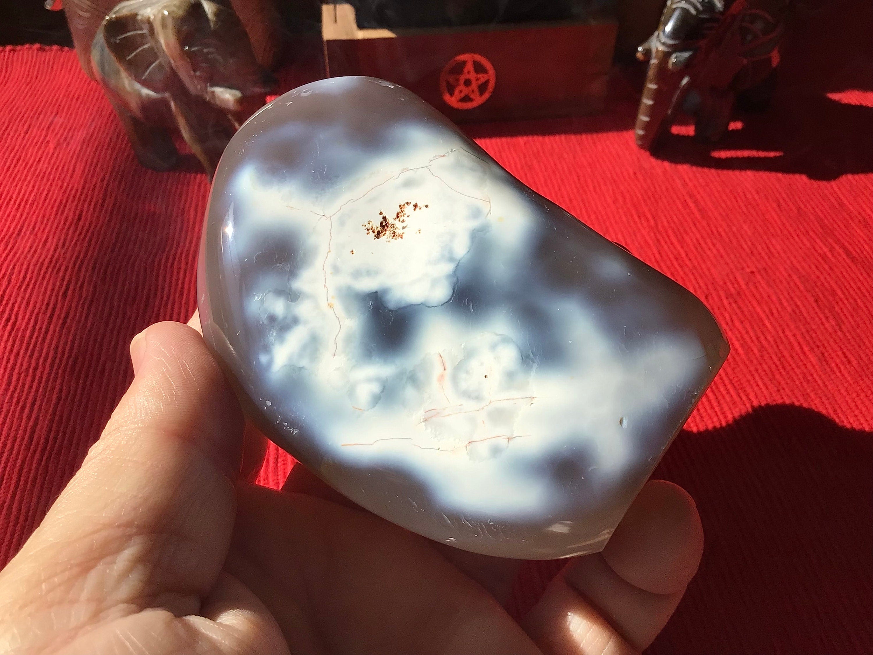 310g Orca Agate Freeform 4A