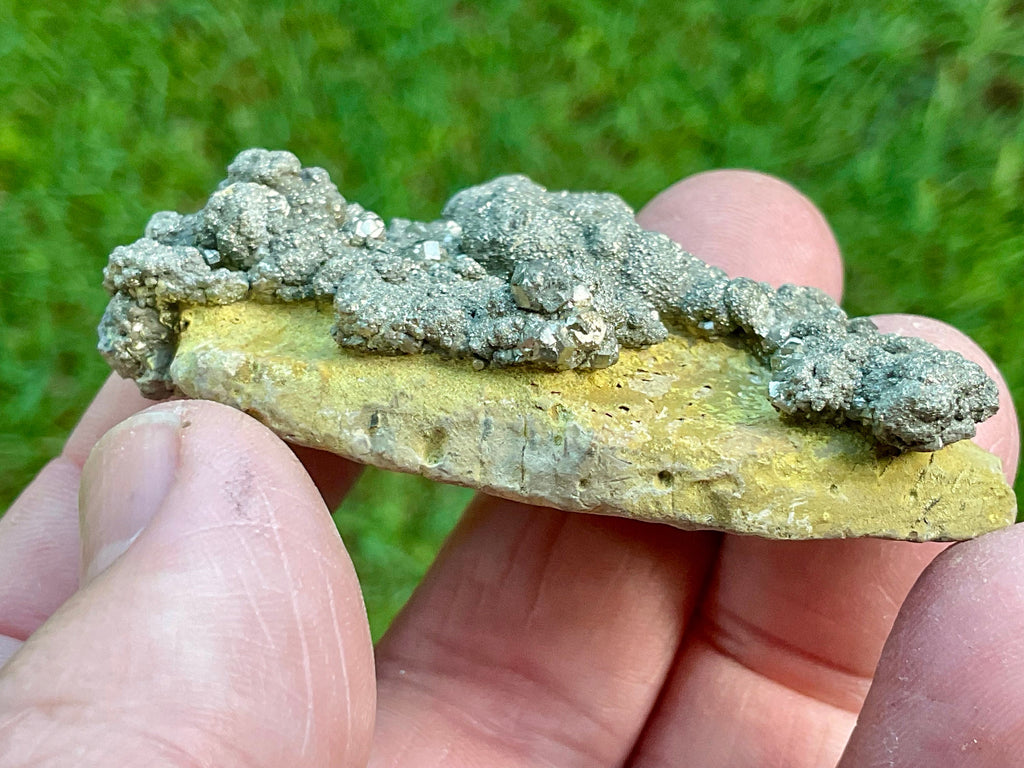 50g Pyrite on Limonite Specimen 1C