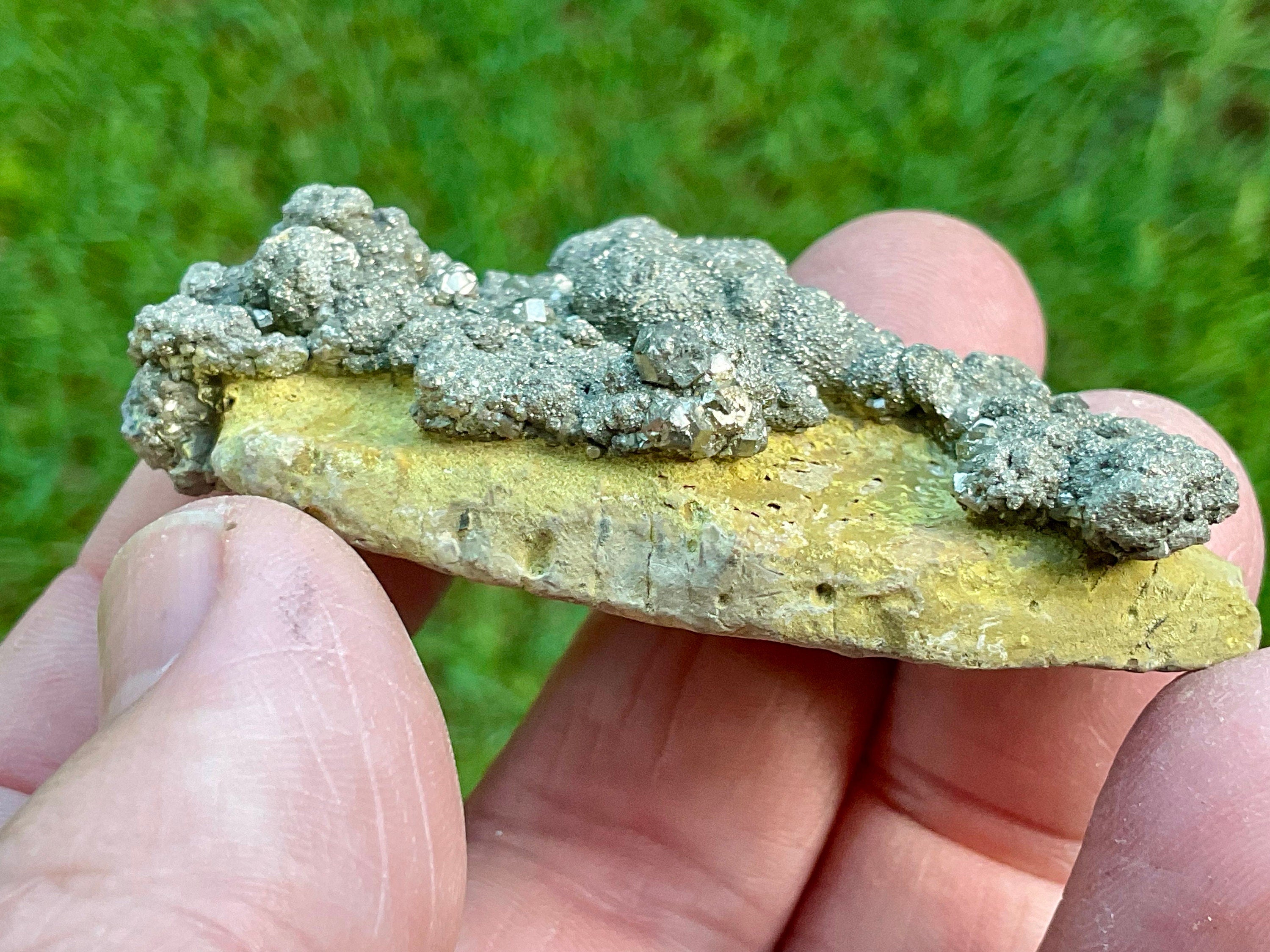 50g Pyrite on Limonite Specimen 1C