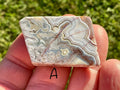 Mexican Crazy Lace Agate Thin Freeforms Group 3