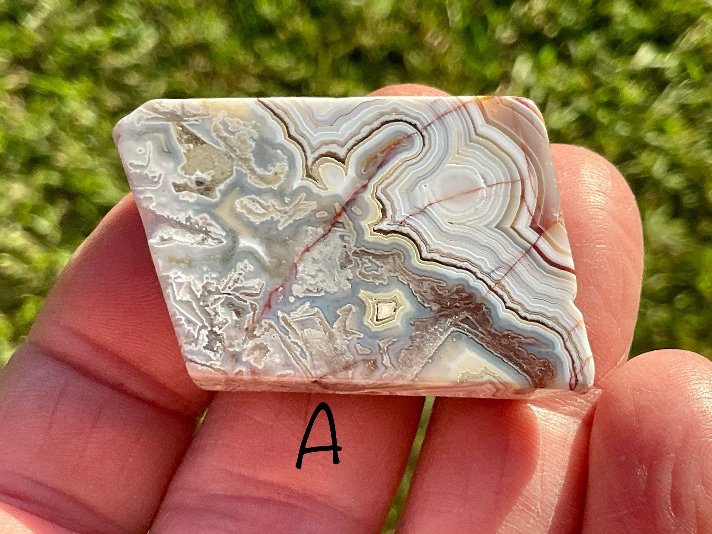 Mexican Crazy Lace Agate Thin Freeforms Group 3