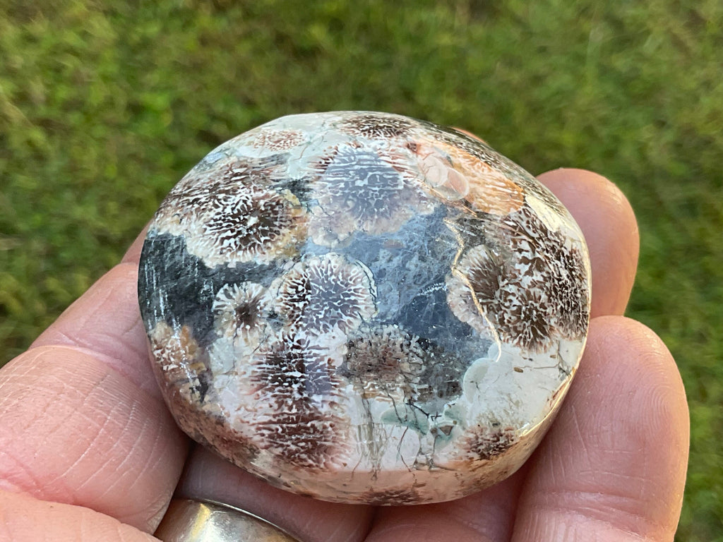 78g Green Cherry Blossom Jasper Palmstone 5B