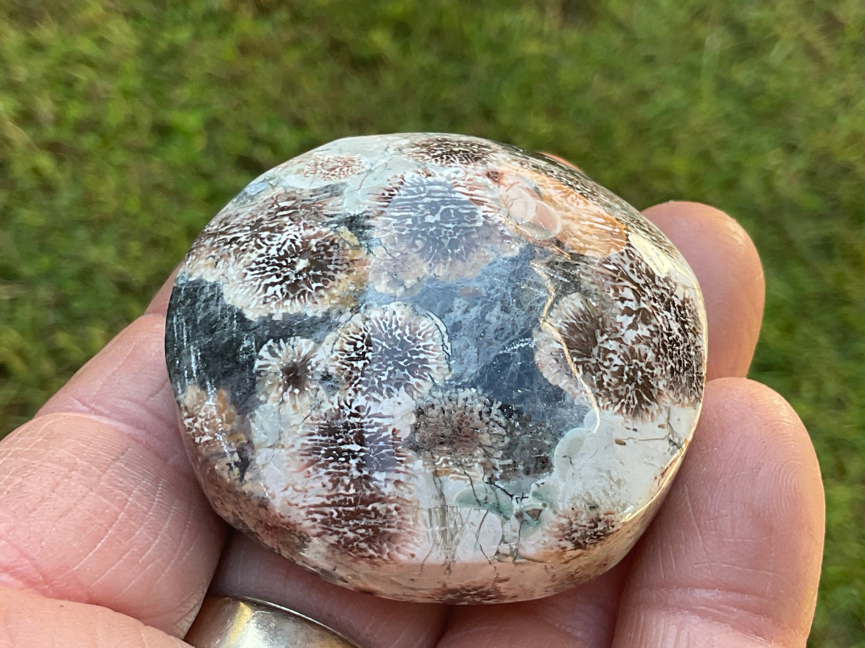 78g Green Cherry Blossom Jasper Palmstone 5B