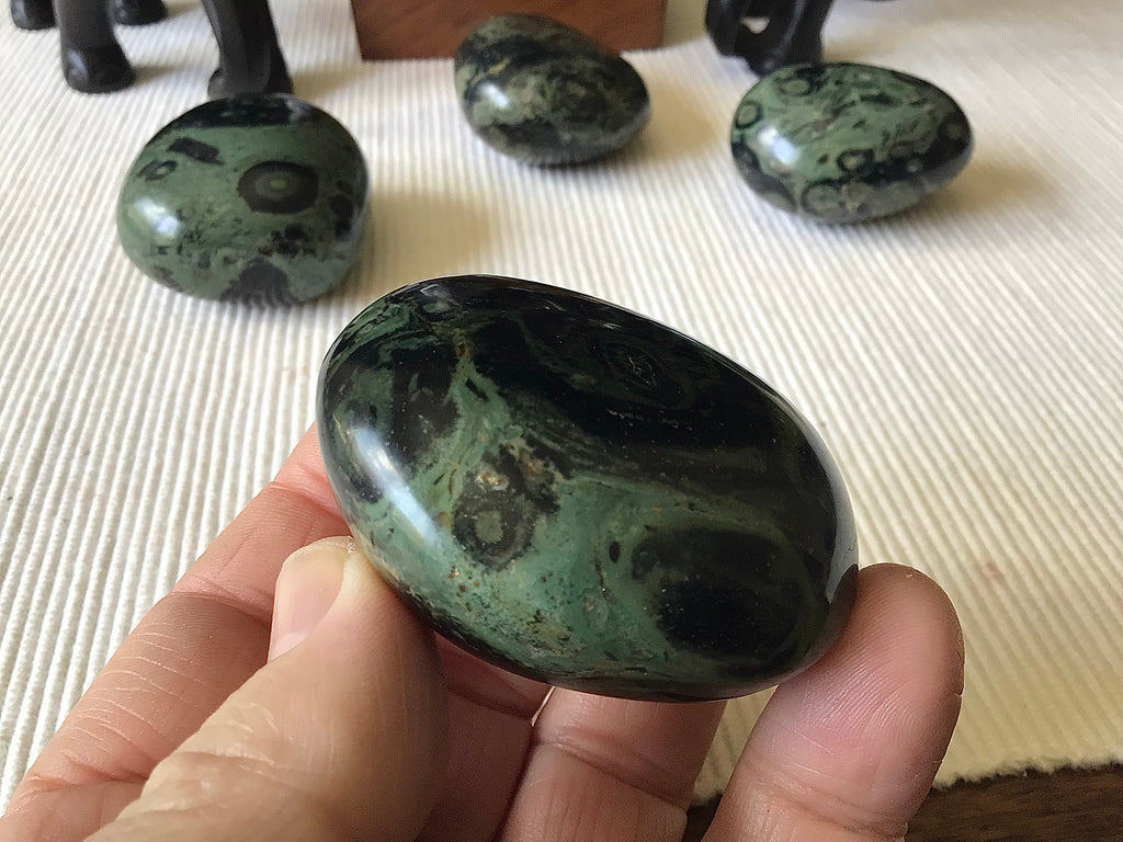 116g Kambaba Jasper Palmstone 3A