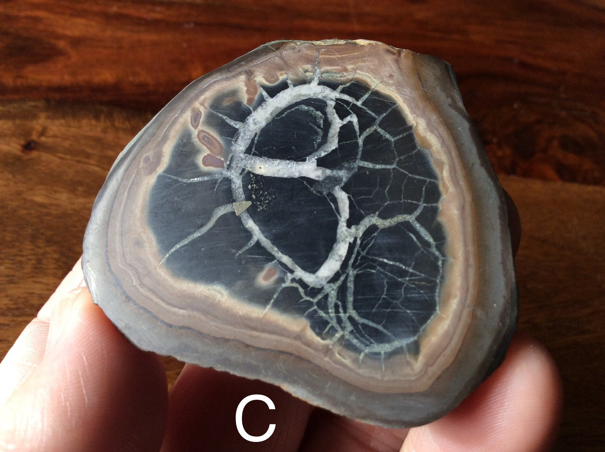149g Moroccan Septarian Nodule (complete) 5C