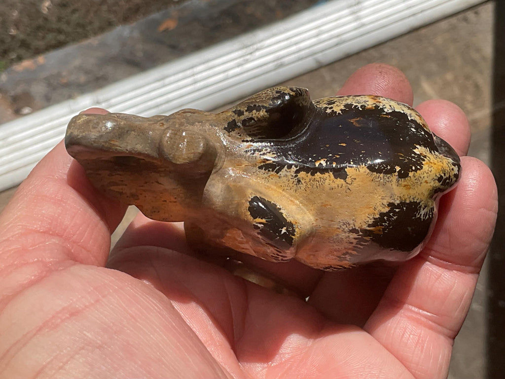 154g Picture/Desert Jasper Elephant A
