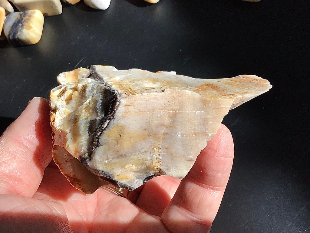 224g Natural Opalised Wood Rough Piece 7C