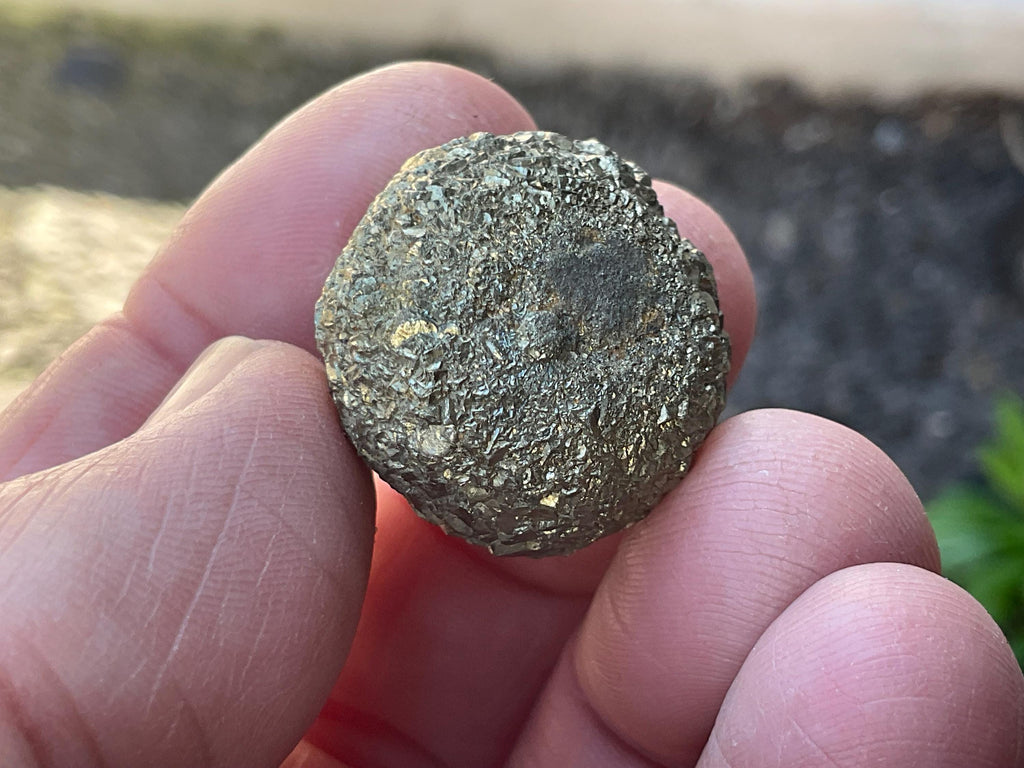 26g Natural Indonesian Pyrite after Marcasite Nodule 1C