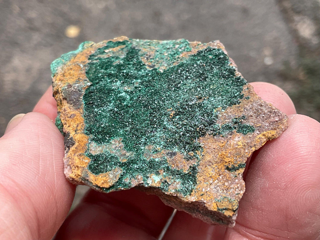 46g Atacamite Specimen 1B from Mt Gunson