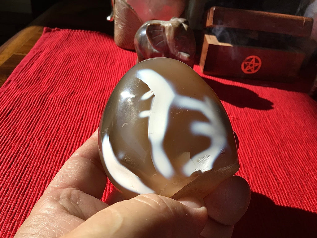 295g Pale Carnelian Orca Agate Freeform 2A