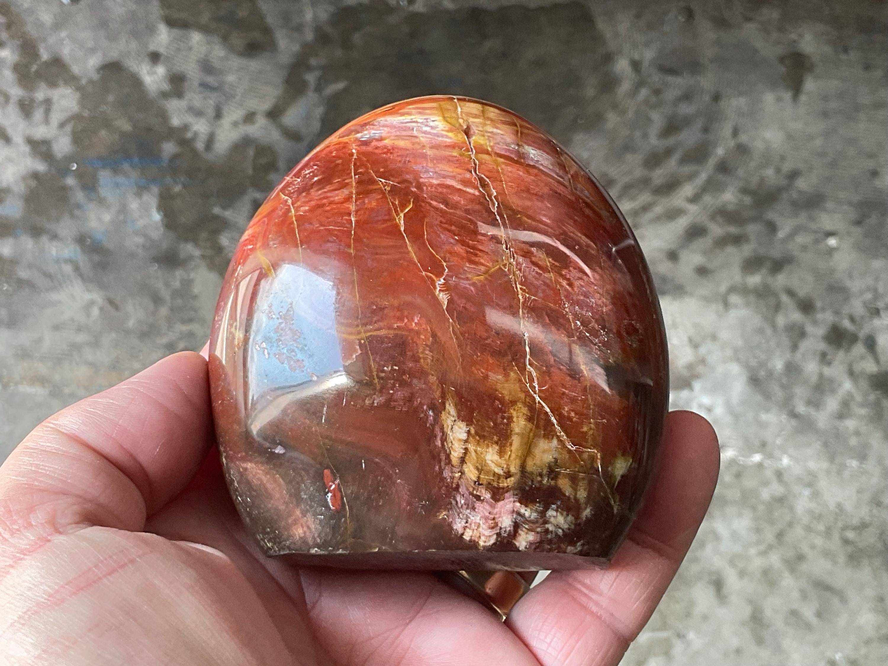 472g Petrified Wood Freeform B from Madagascar