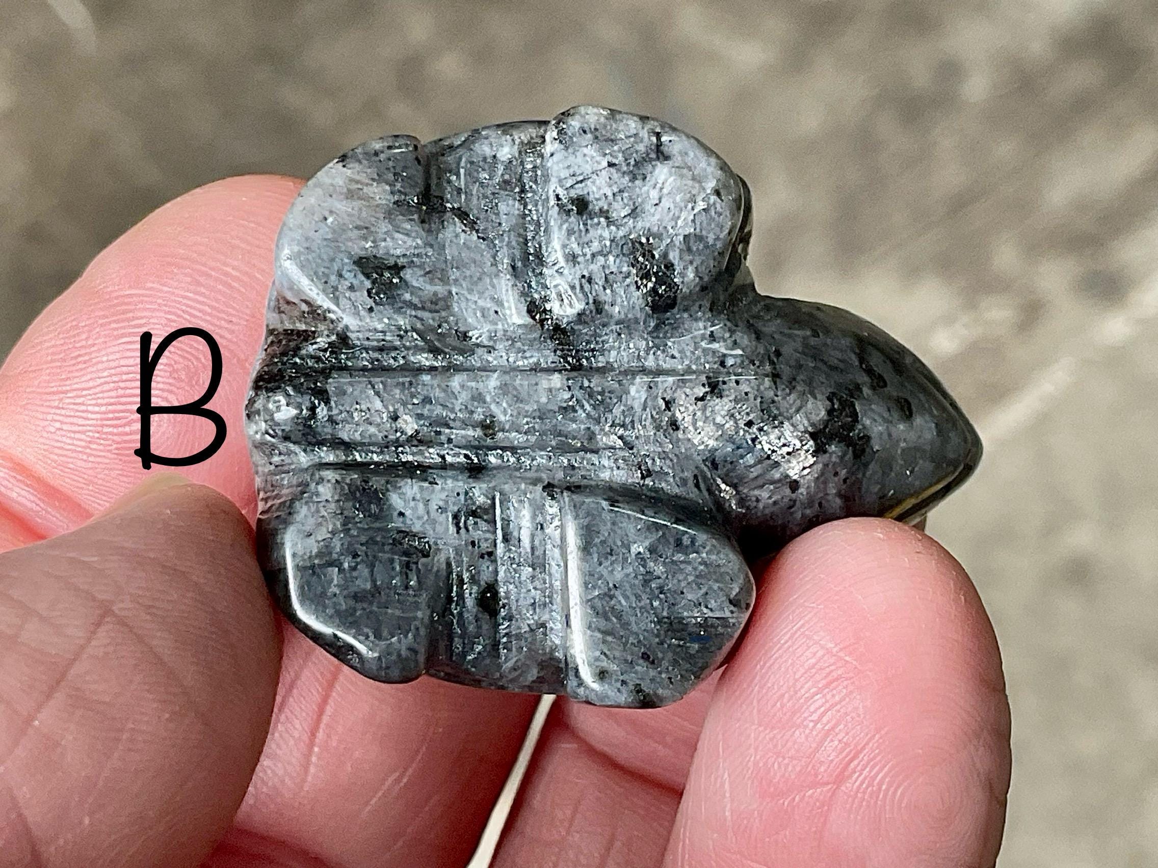 Larvikite Small Turtle Group 2
