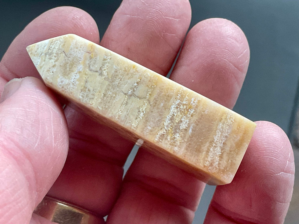 31g Fossilised Coral Generator 2B