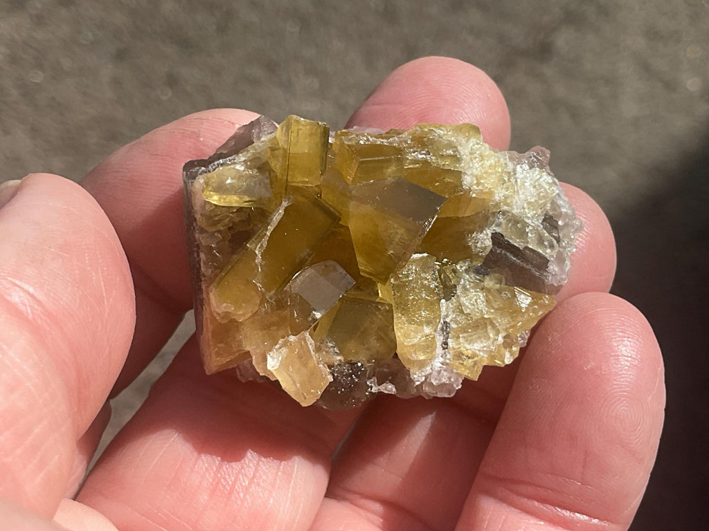 40g Tabular Golden Baryte on Botryoidal Fluorite Specimen 1A from Jiangxi