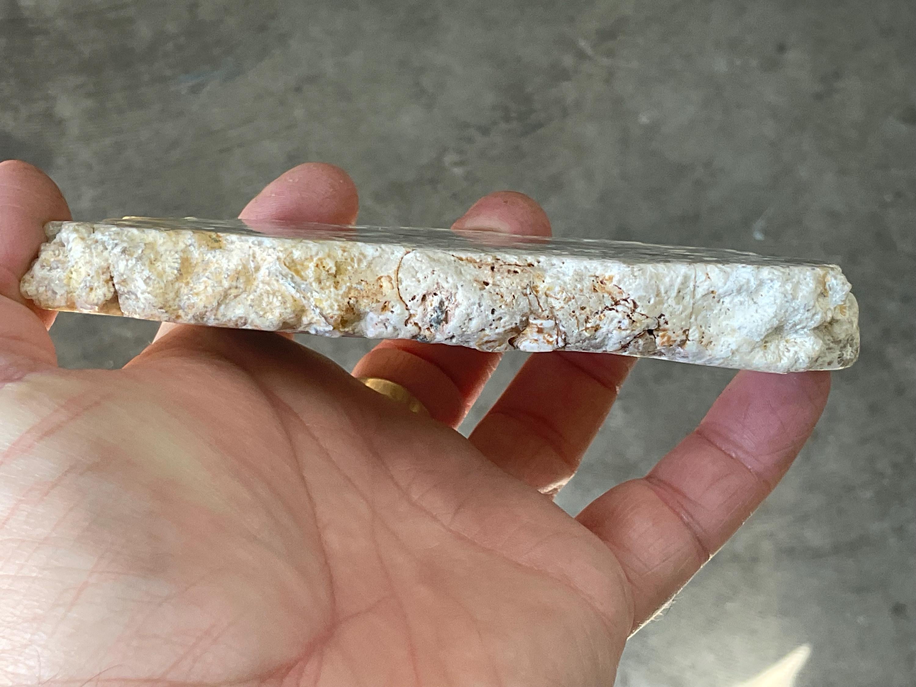 238g Fossilized/Agatised Coral Slab 4A
