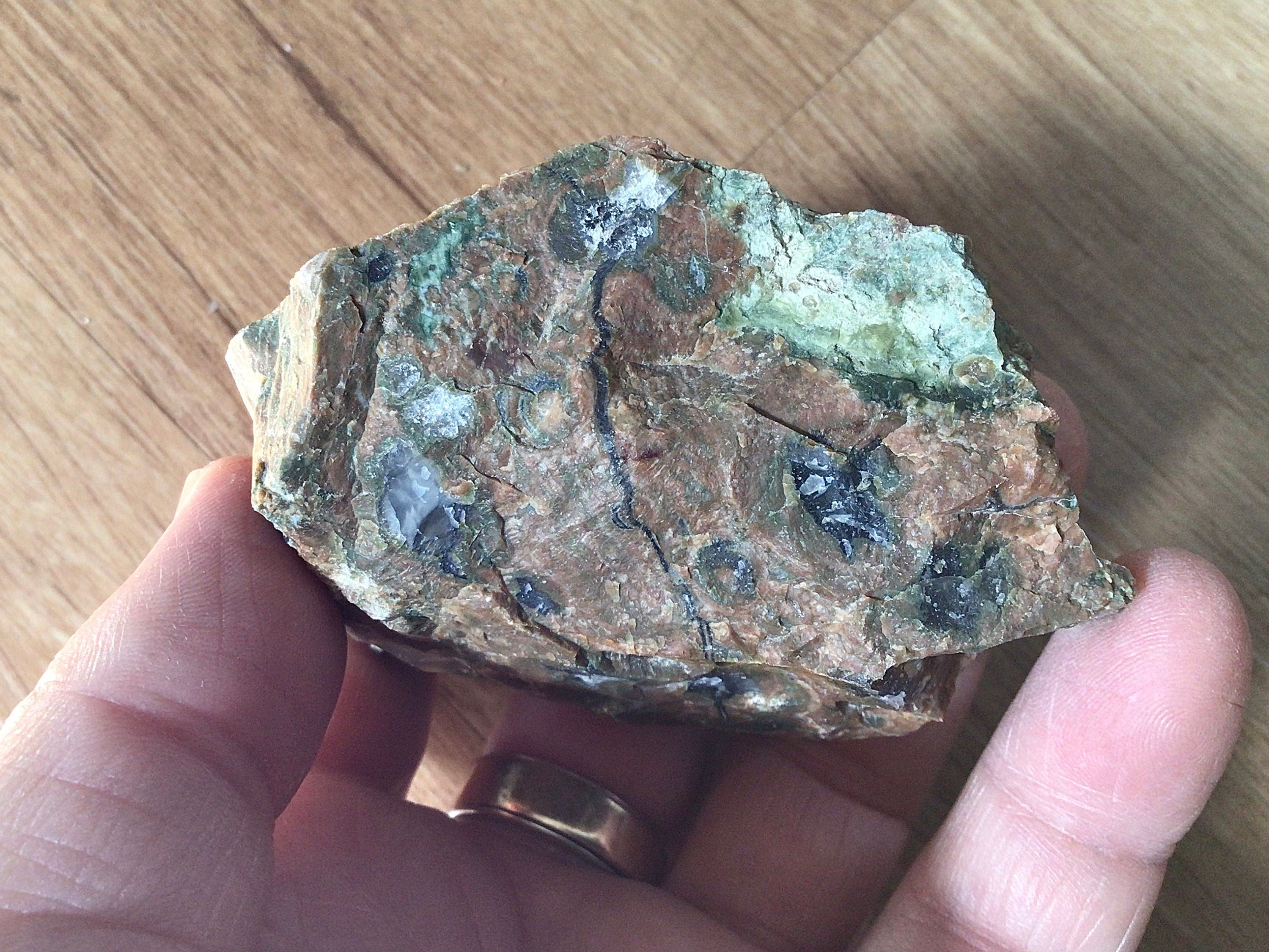 237g Mt Hay Rainforest Jasper Rough 5C