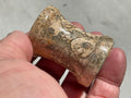 Fossilised Sea Bed Pedestal Sphere Stand 3A