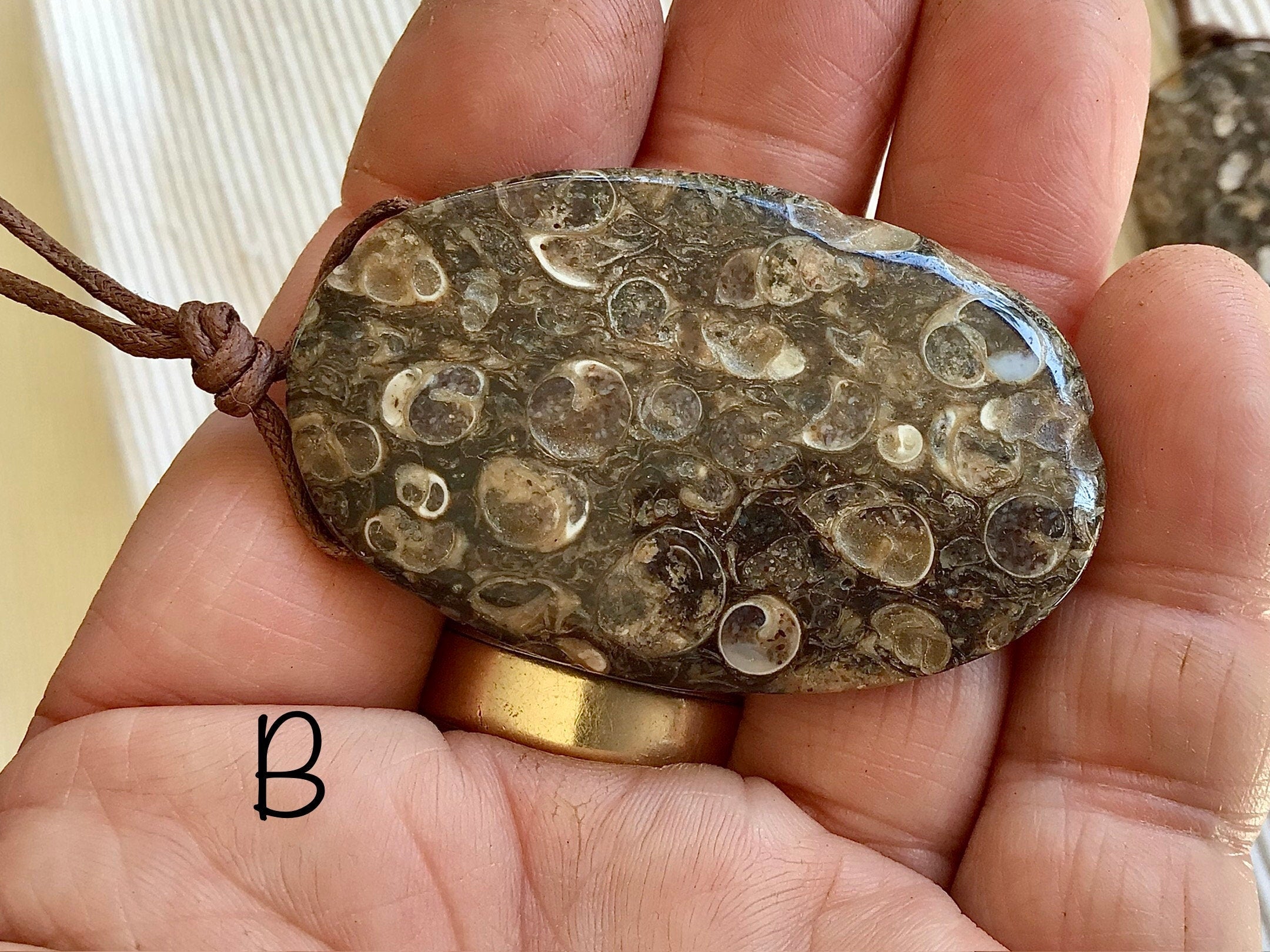 Large Turitella Agate Polished Pendant Group 3