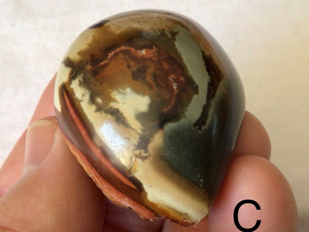 Polychrome Jasper One Side Polished Group 6