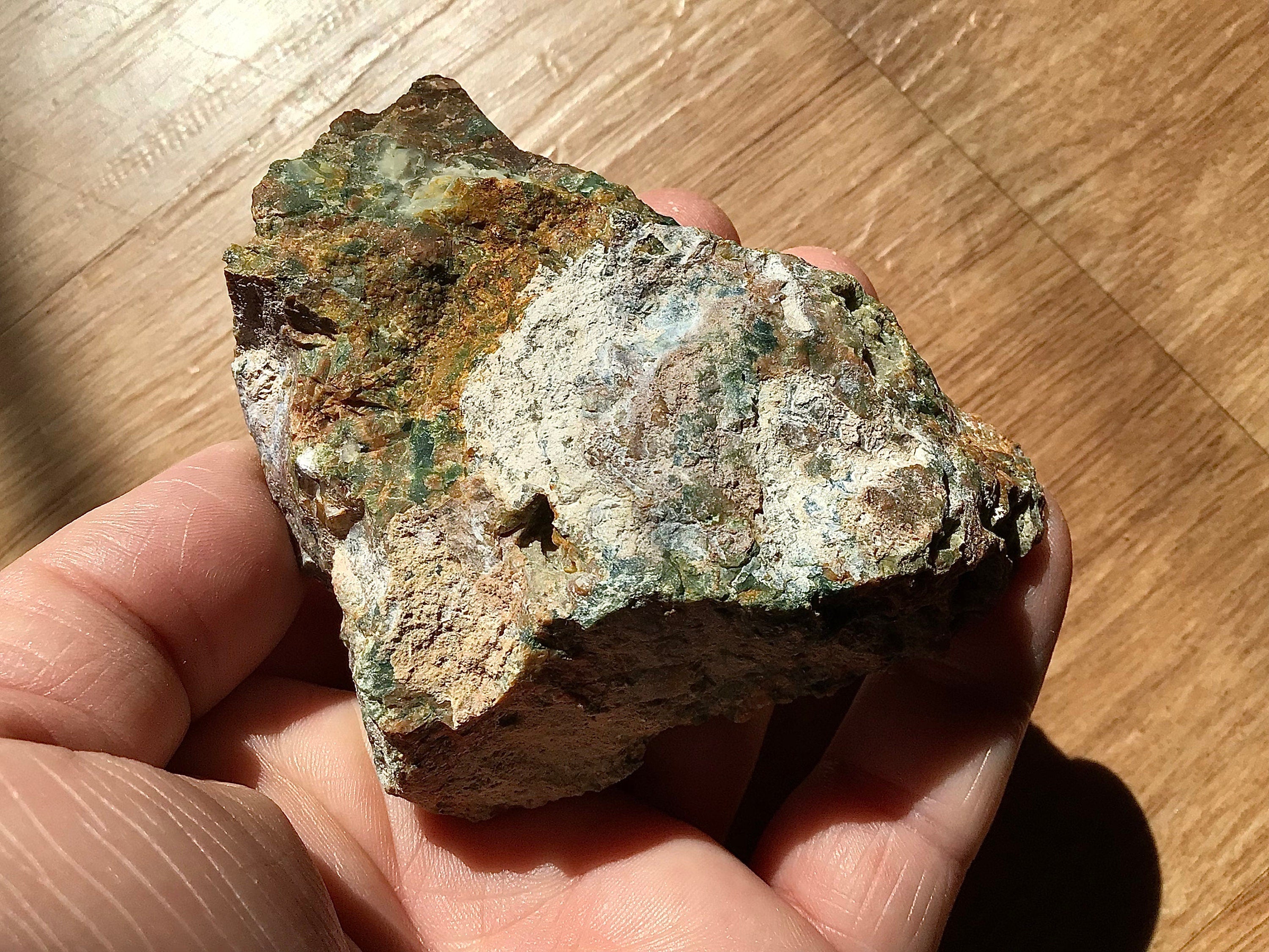139g Mt Hay Rainforest Jasper Rough 4C