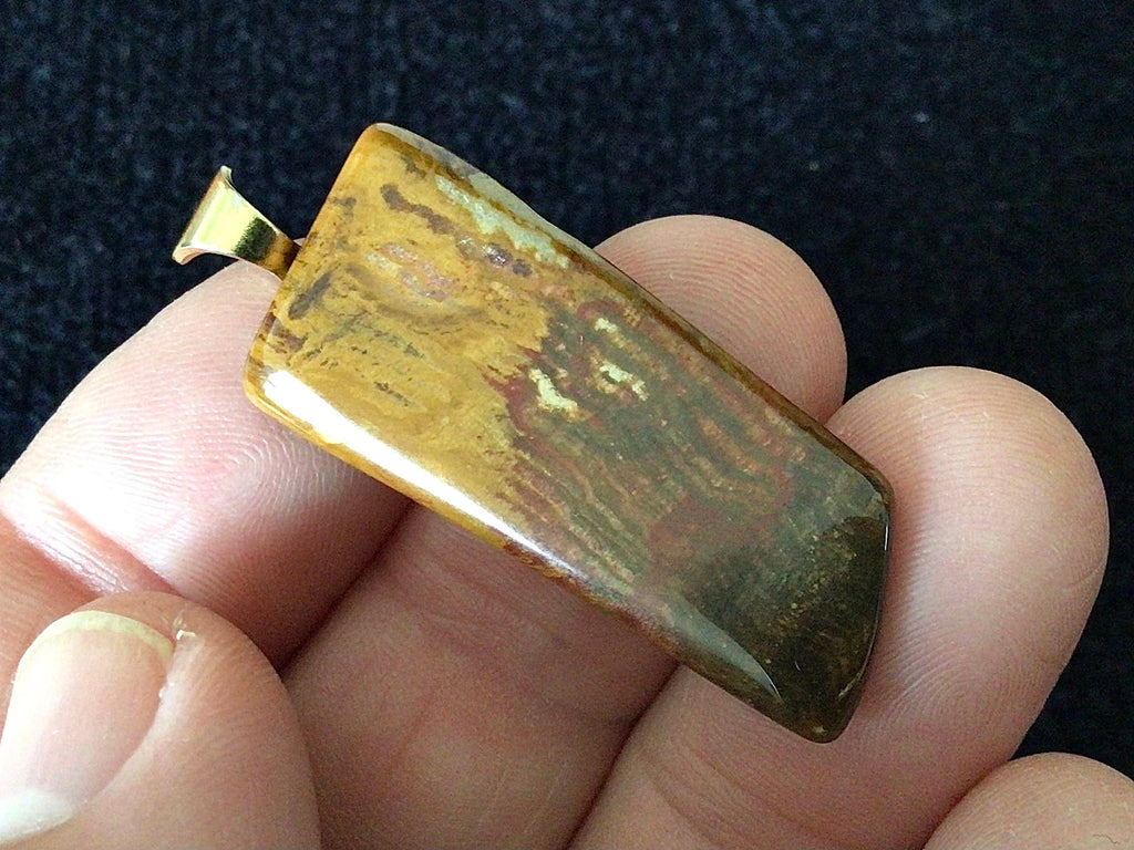 5g Petrified Wood Tumble Pendant 2B