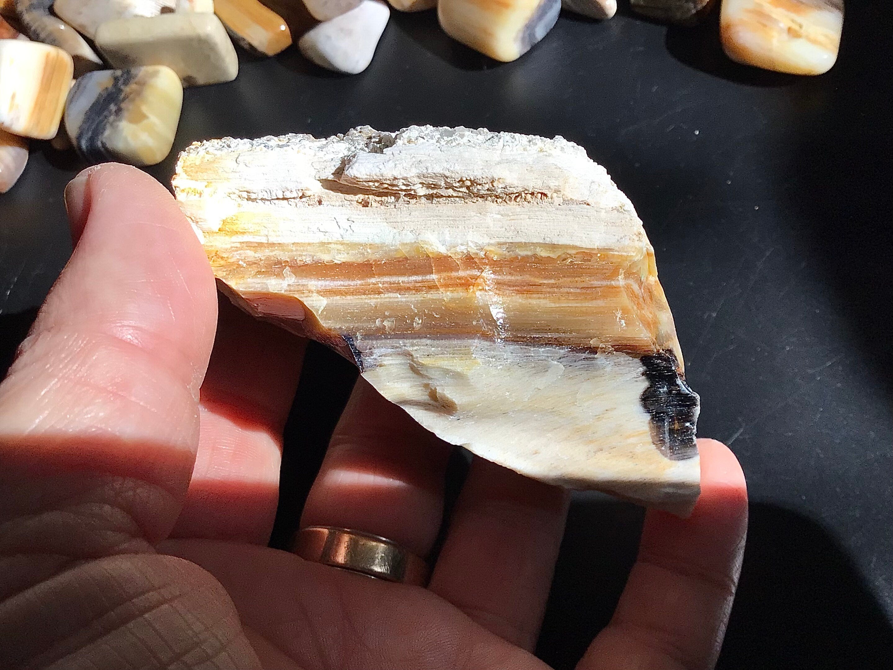 161g Natural Opalised Wood Rough Piece 6B