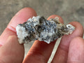 44g Anglesite Specimen 1 from Block14 Opencut Mine Broken Hill