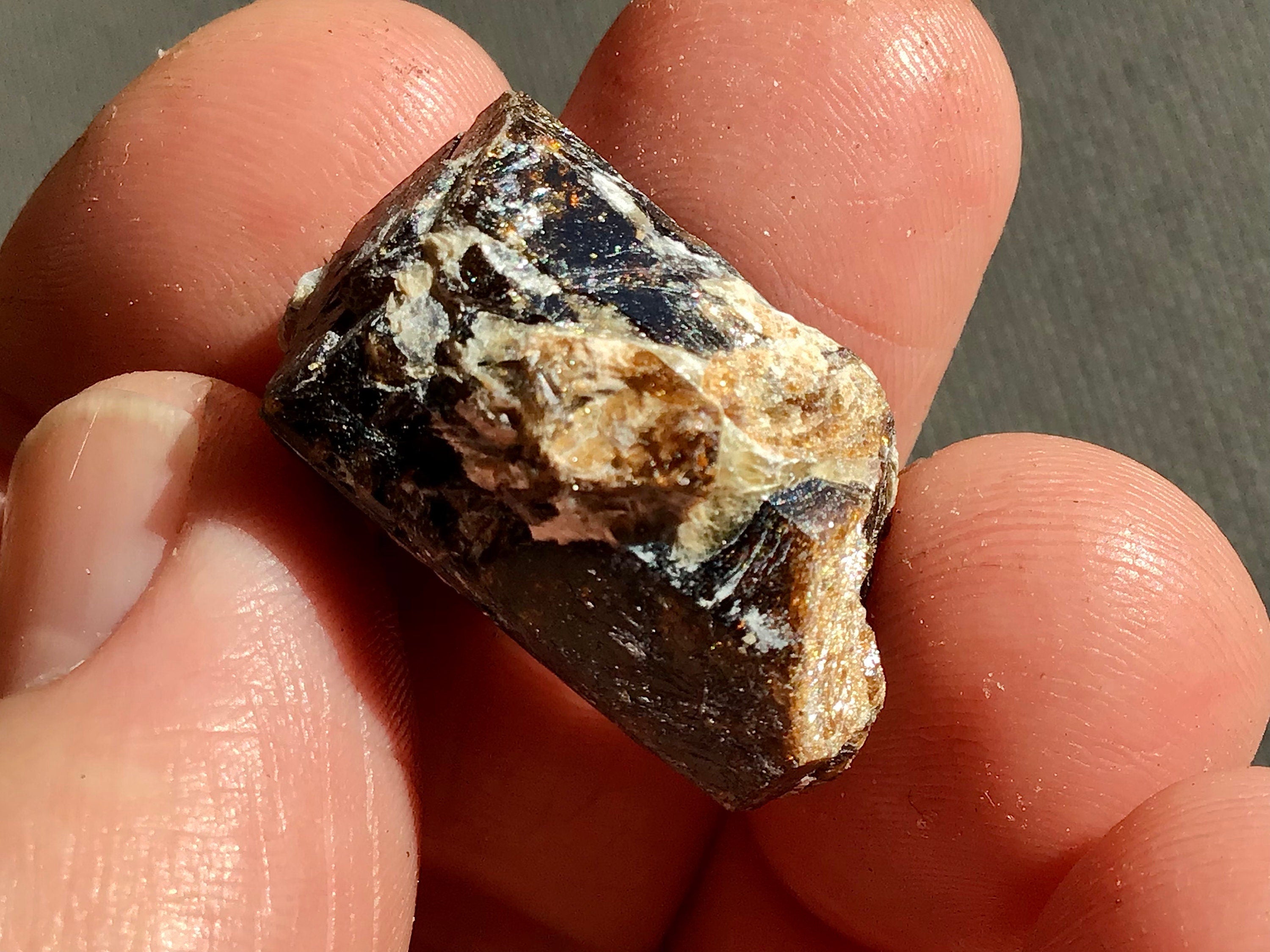 11g Yinnietharra Dravite Specimen 14C
