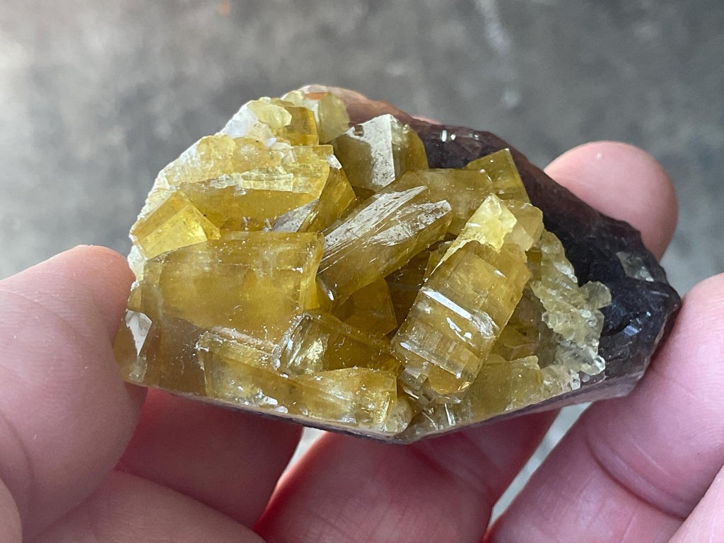 110g Tabular Golden Baryte on Botryoidal Fluorite Specimen 6A from Jiangxi