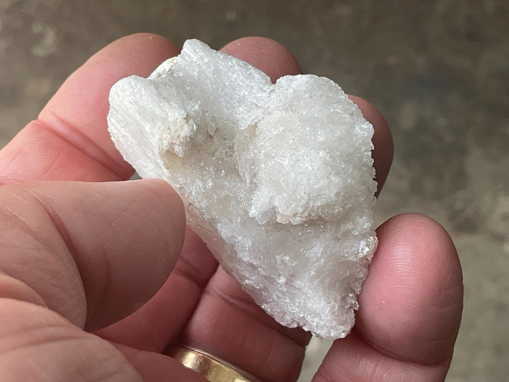 34g Rams Horn Selenite Specimen 6C