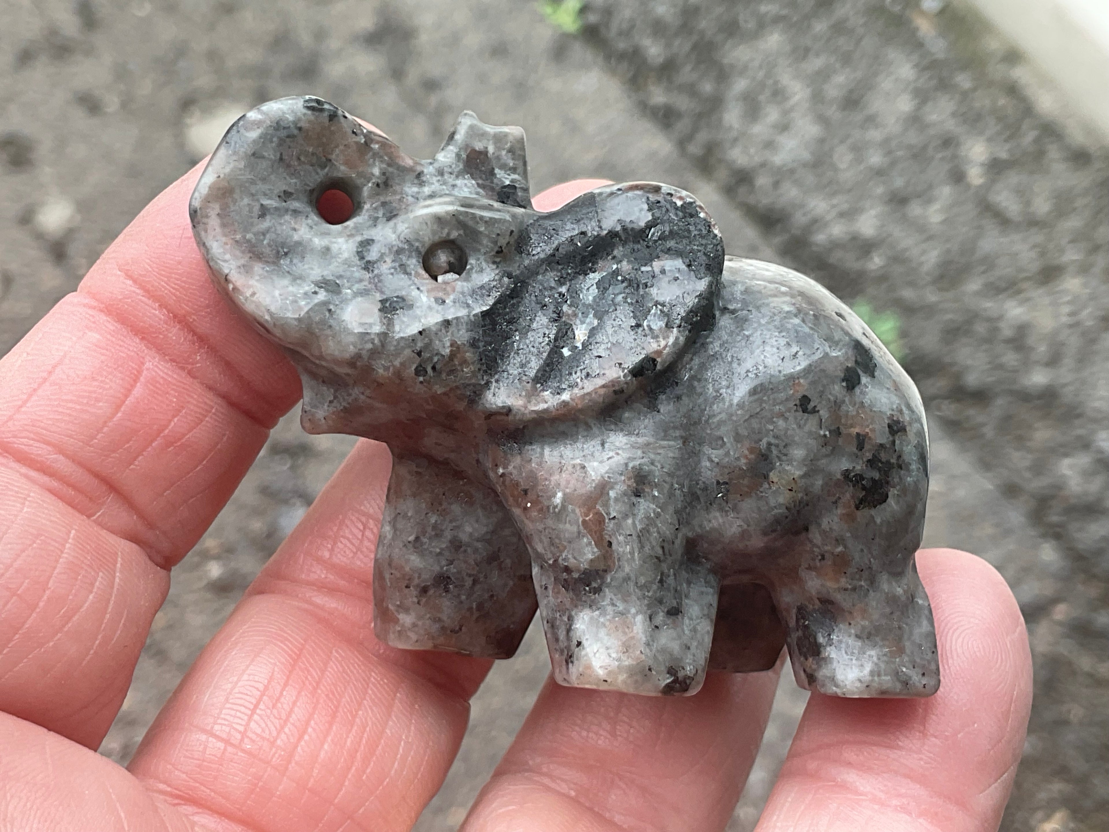 70g Syenite with Sodalite (Yooperlite) Elephant Carving A