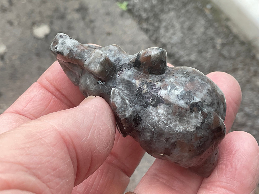 70g Syenite with Sodalite (Yooperlite) Elephant Carving A