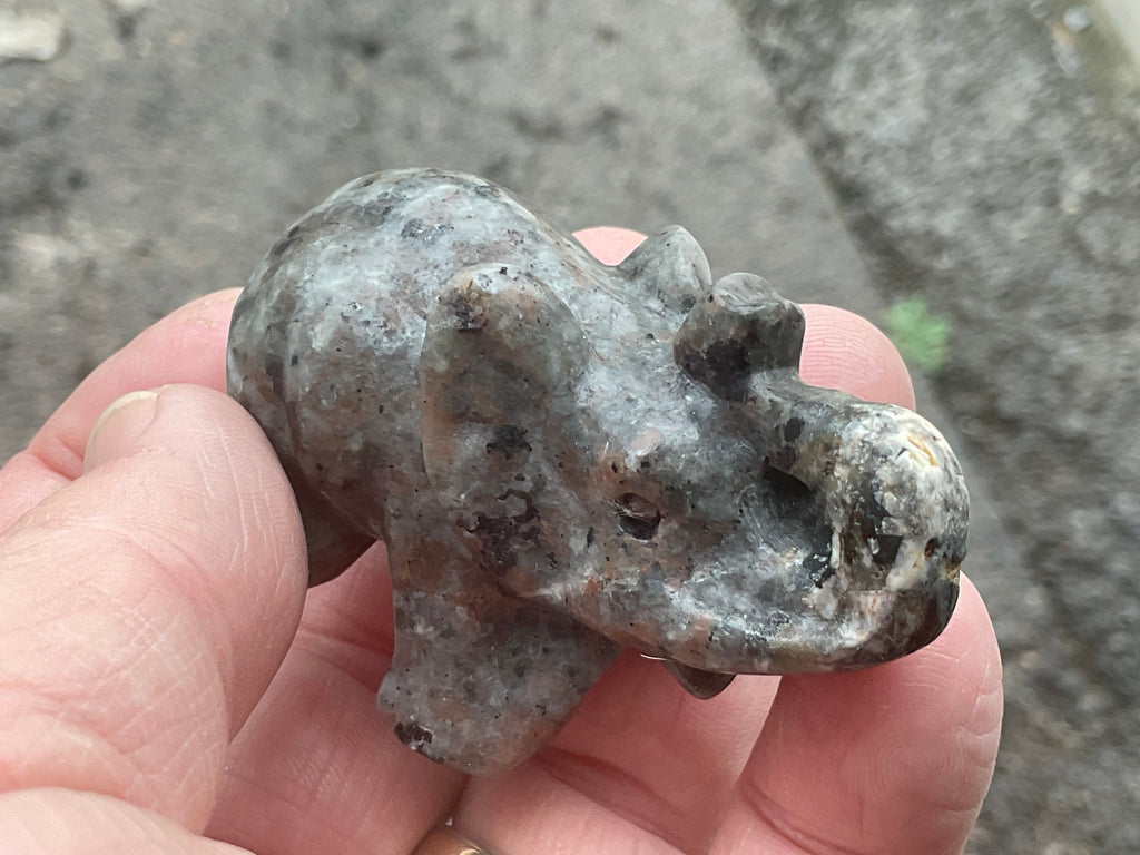 76g Syenite with Sodalite (Yooperlite) Elephant Carving C