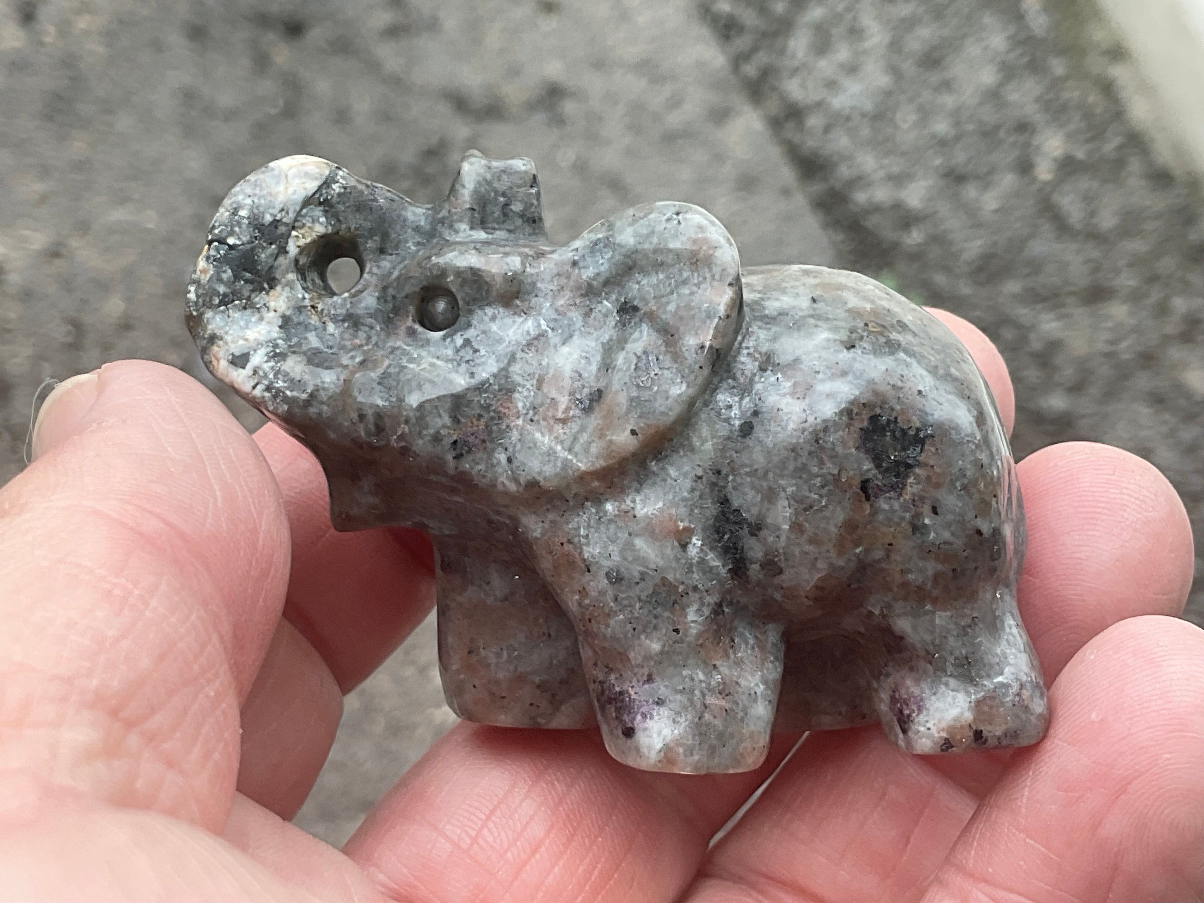 76g Syenite with Sodalite (Yooperlite) Elephant Carving C