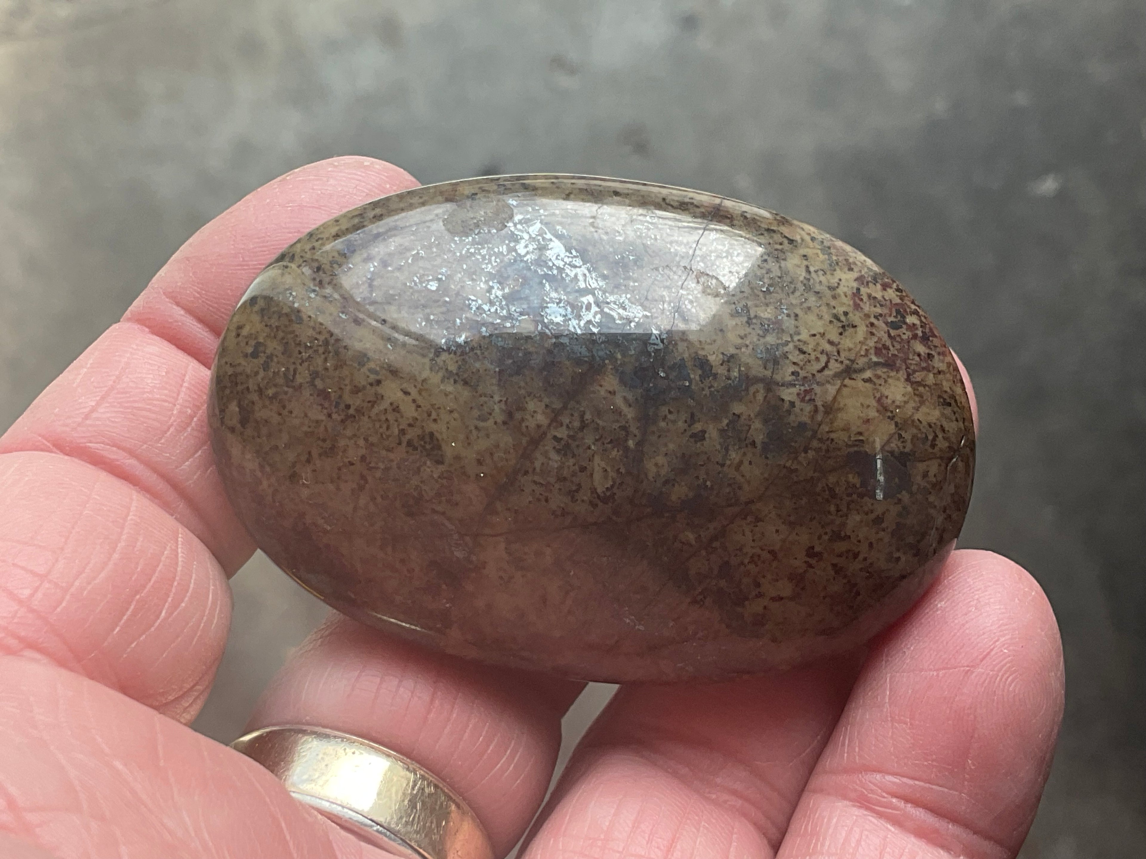 88g Jasper with Hematite Inclusions Palmstone
