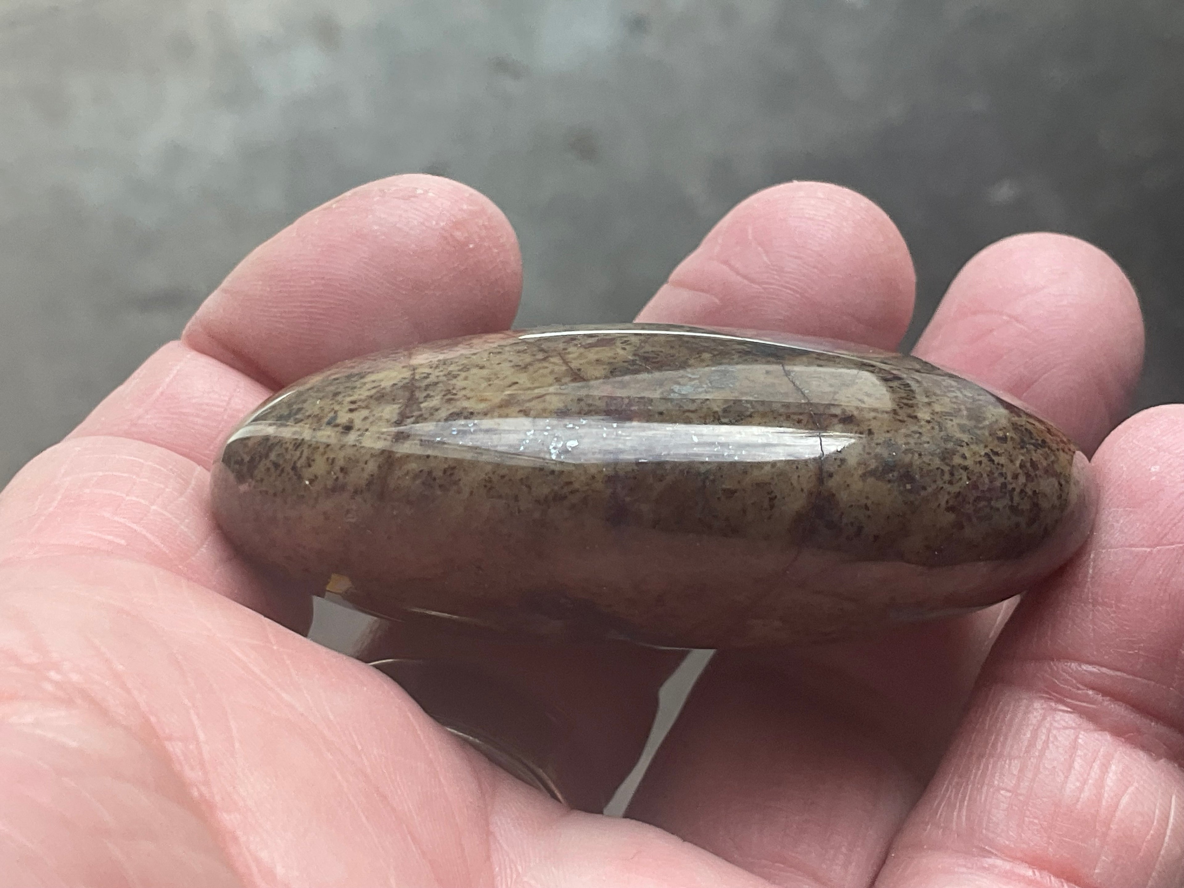 88g Jasper with Hematite Inclusions Palmstone