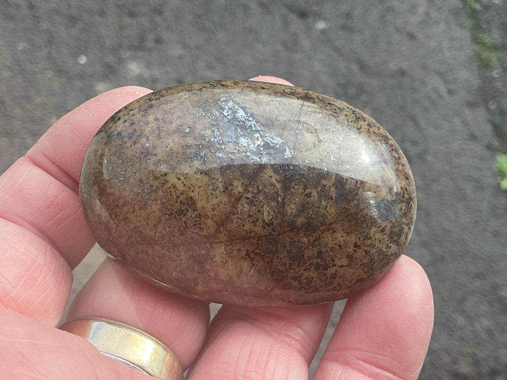 88g Jasper with Hematite Inclusions Palmstone