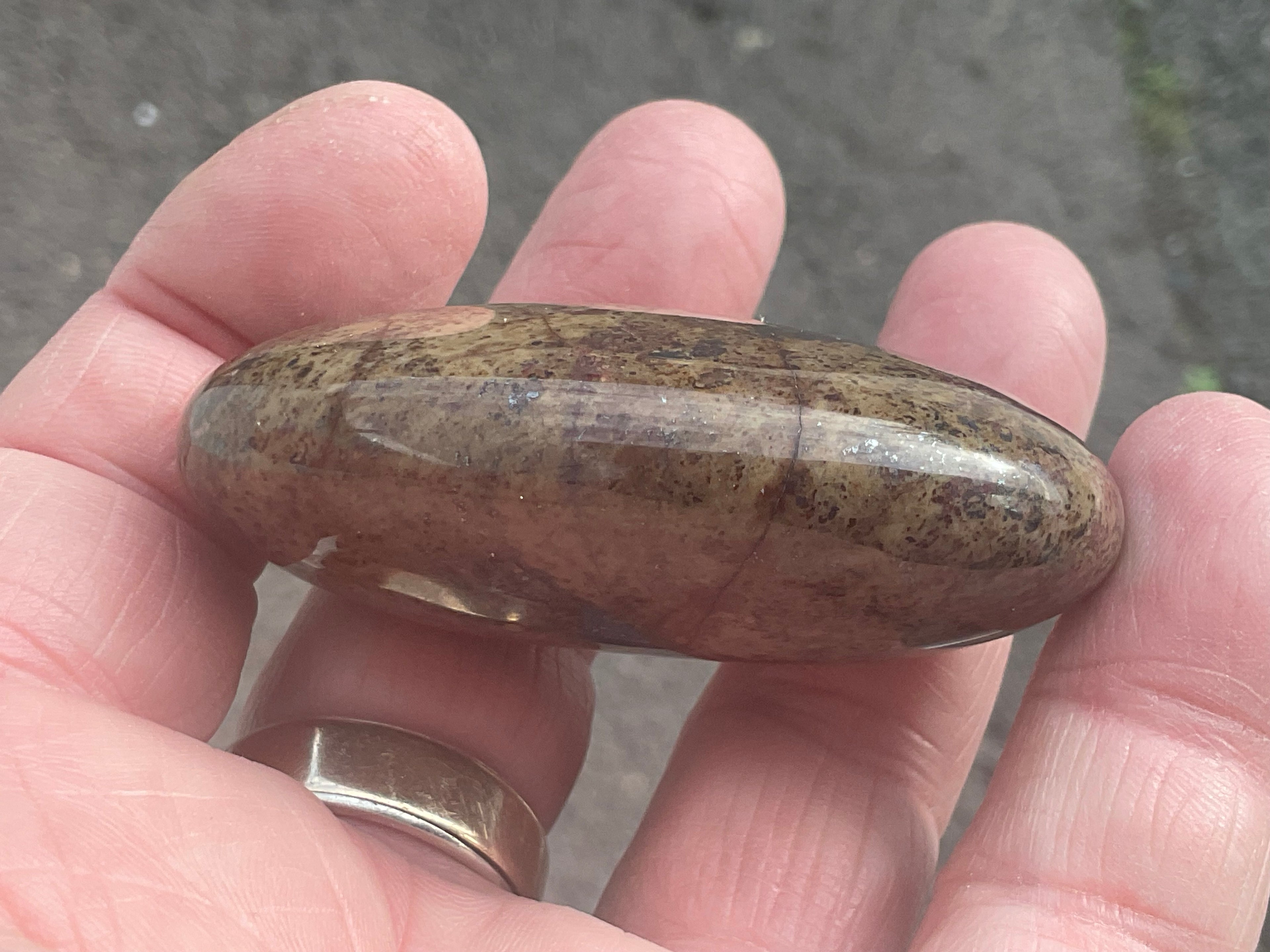88g Jasper with Hematite Inclusions Palmstone