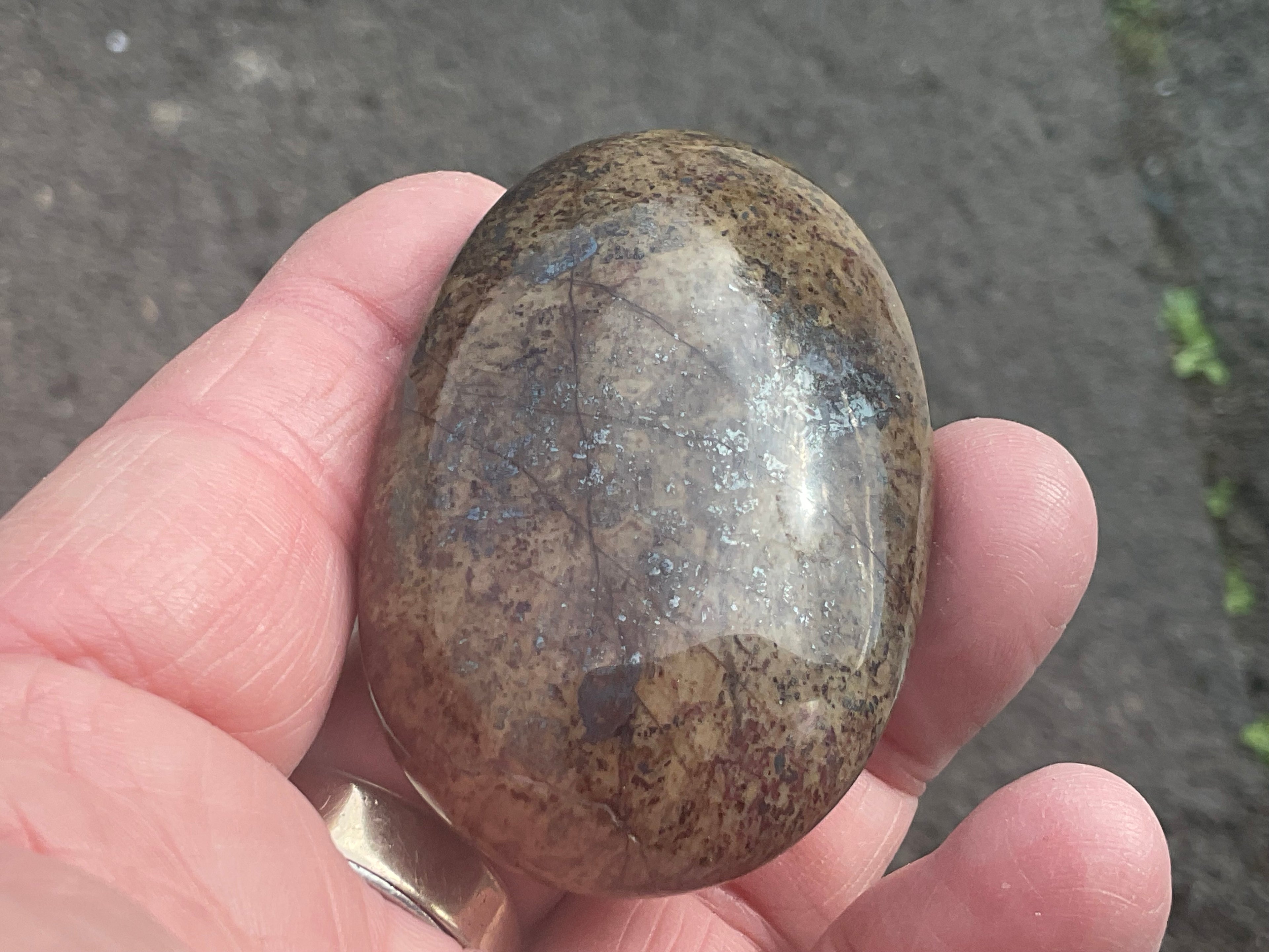 88g Jasper with Hematite Inclusions Palmstone