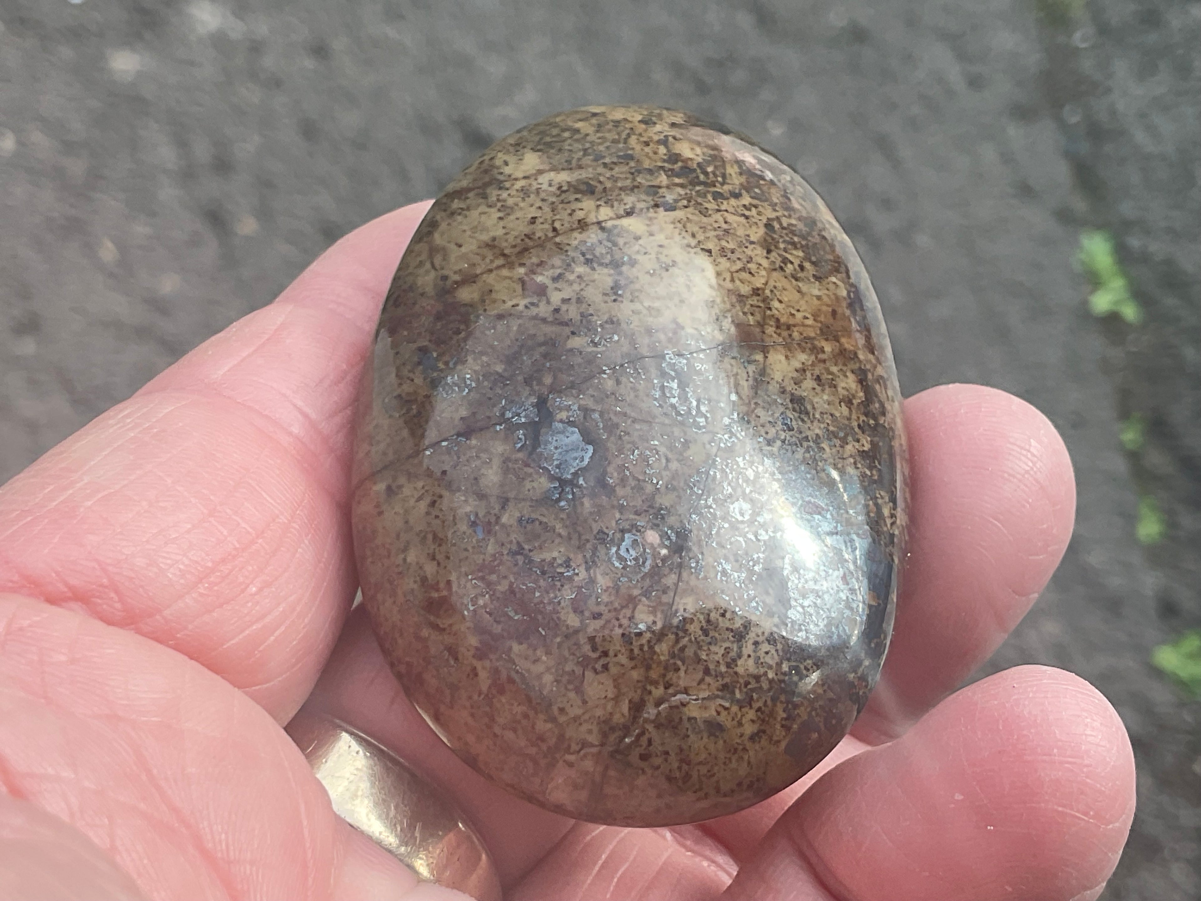88g Jasper with Hematite Inclusions Palmstone