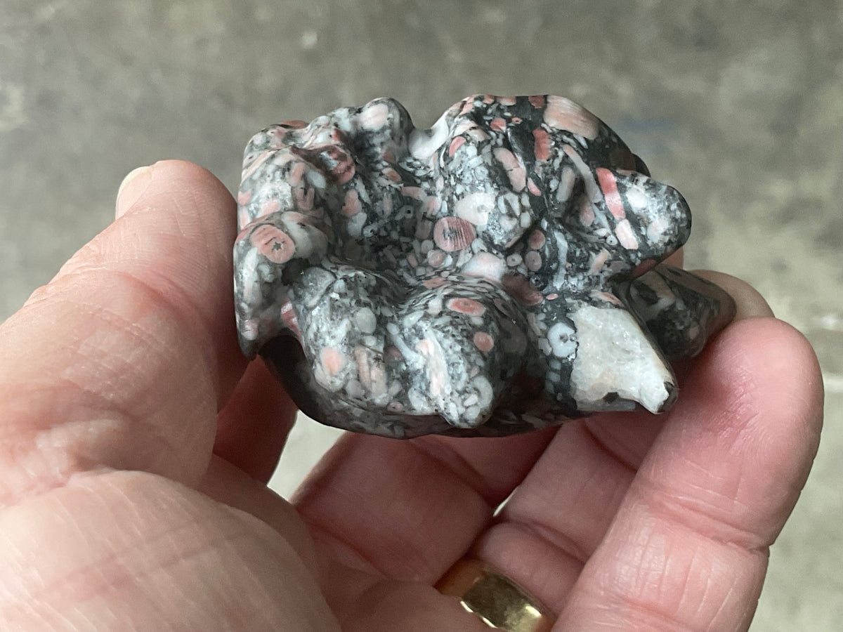 108g Crinoids in Marble Nine Tailed Fox Carving A
