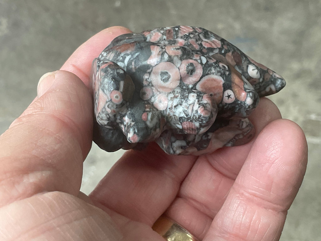 108g Crinoids in Marble Nine Tailed Fox Carving A