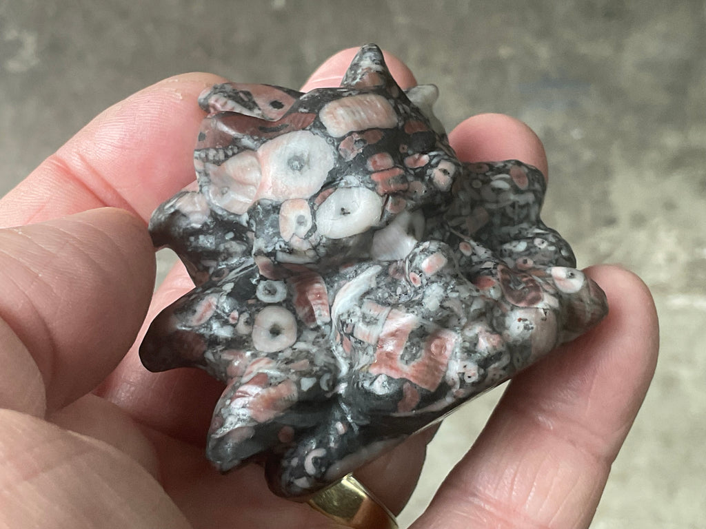 108g Crinoids in Marble Nine Tailed Fox Carving A