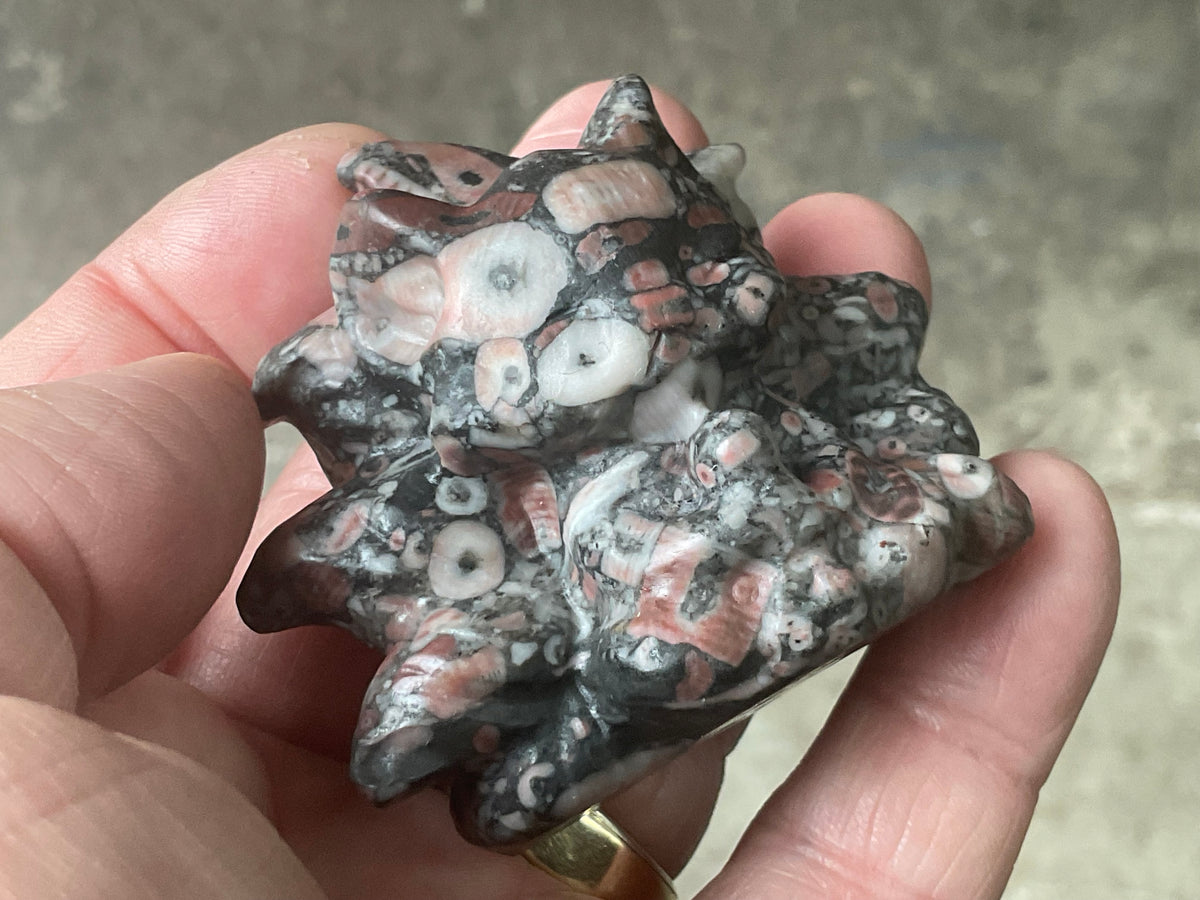 108g Crinoids in Marble Nine Tailed Fox Carving A