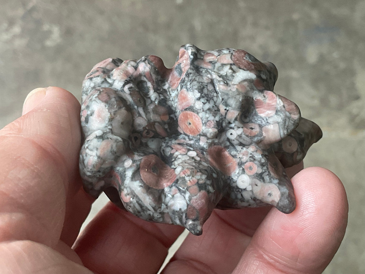 110g Crinoids in Marble Nine Tailed Fox Carving B