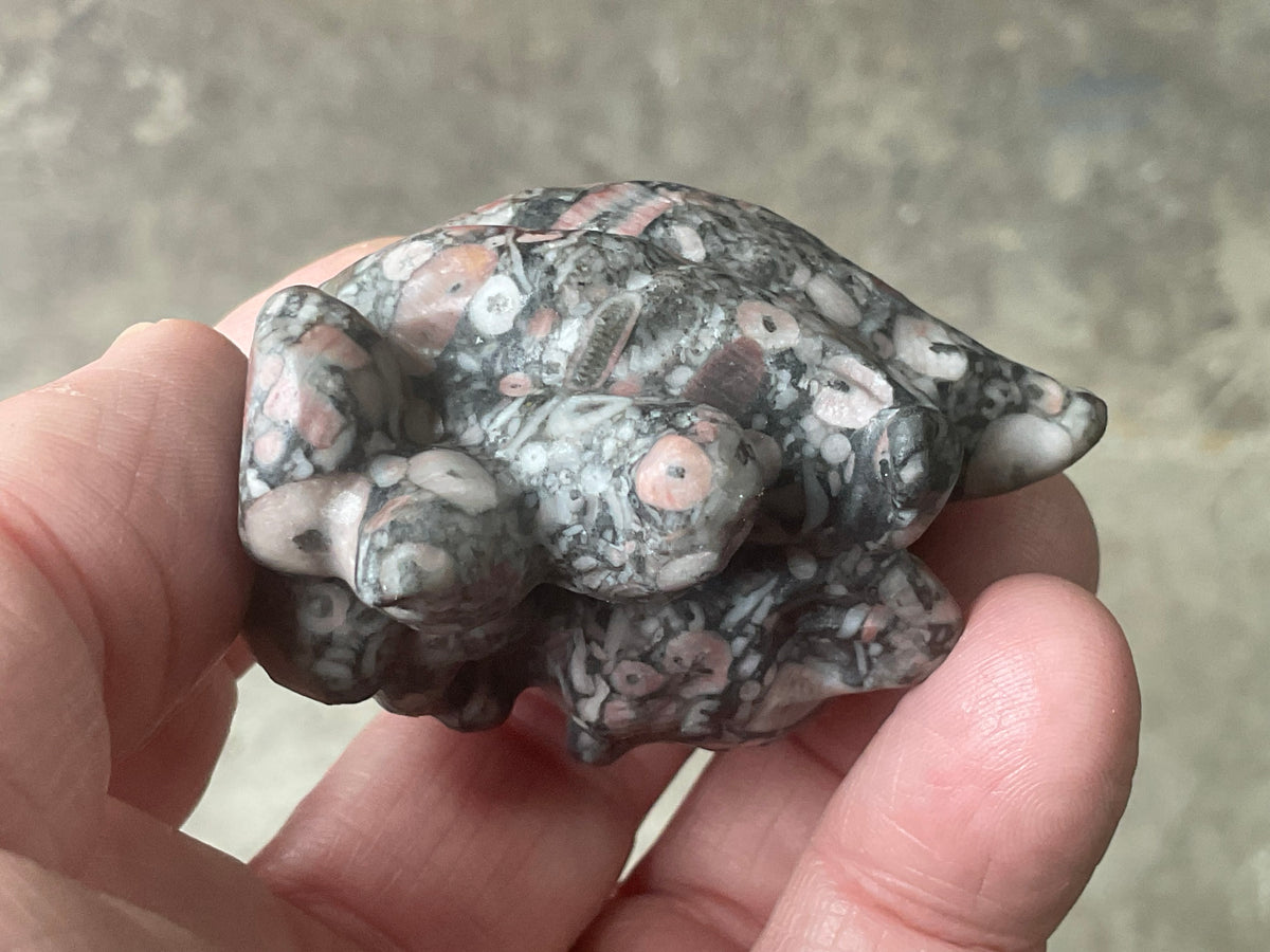 110g Crinoids in Marble Nine Tailed Fox Carving B