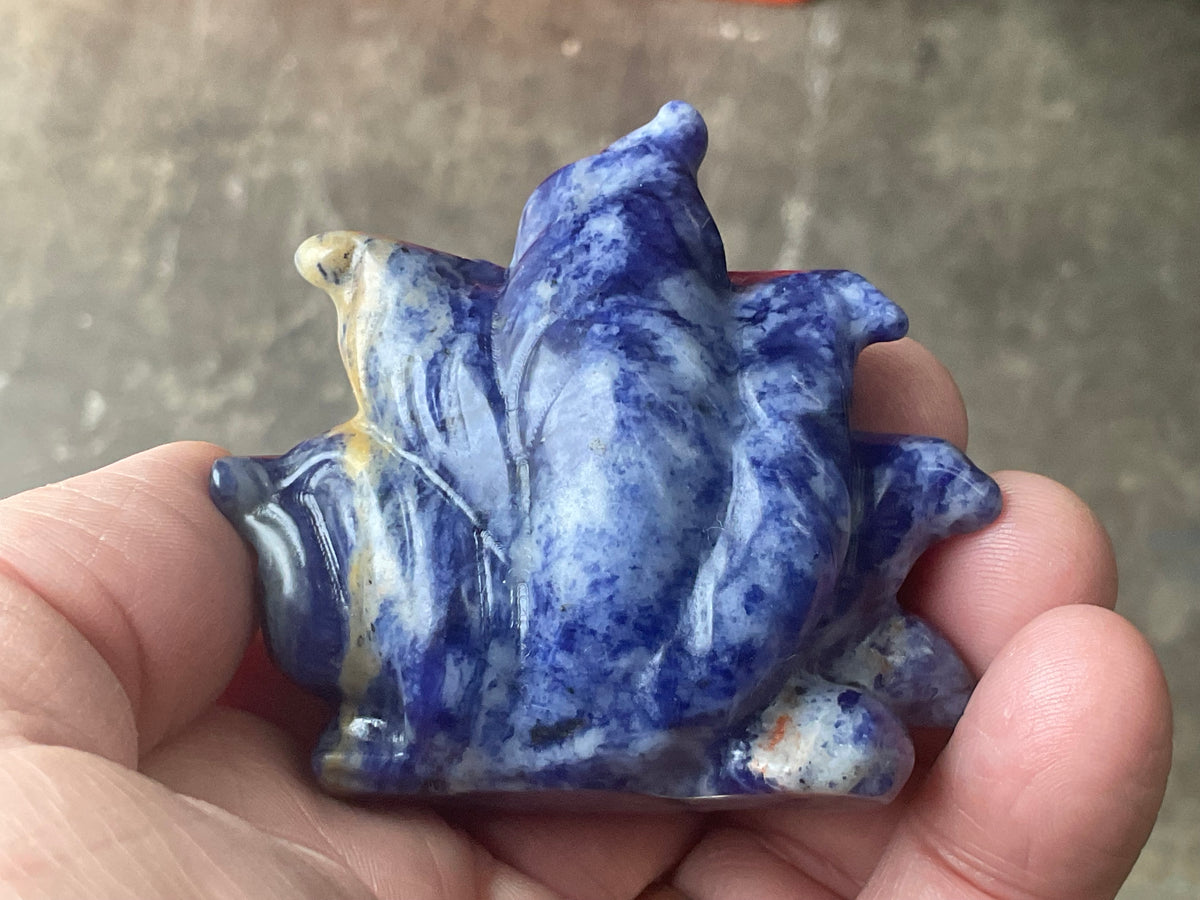 108g Sodalite Nine Tailed Fox Carving