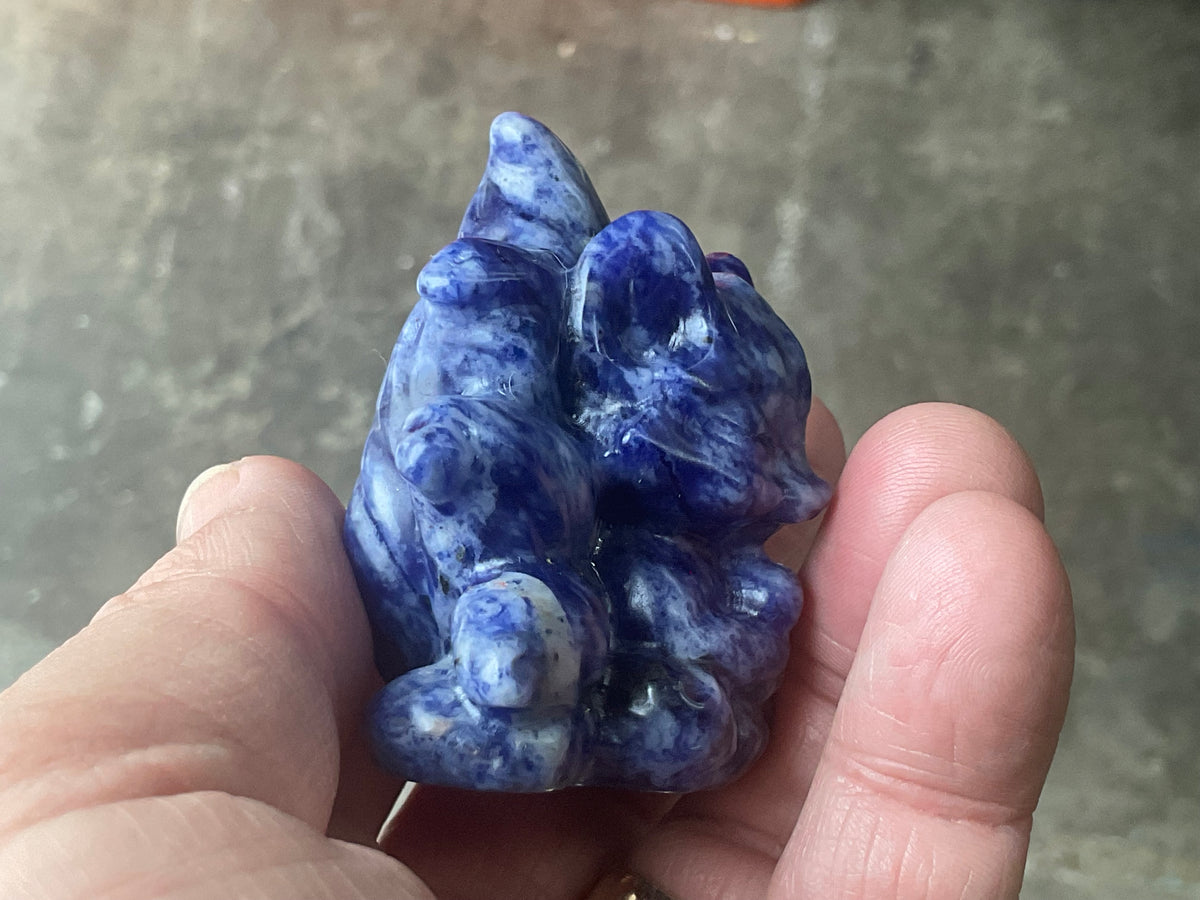108g Sodalite Nine Tailed Fox Carving