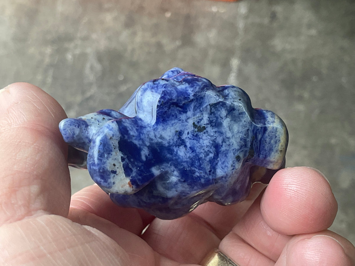 108g Sodalite Nine Tailed Fox Carving