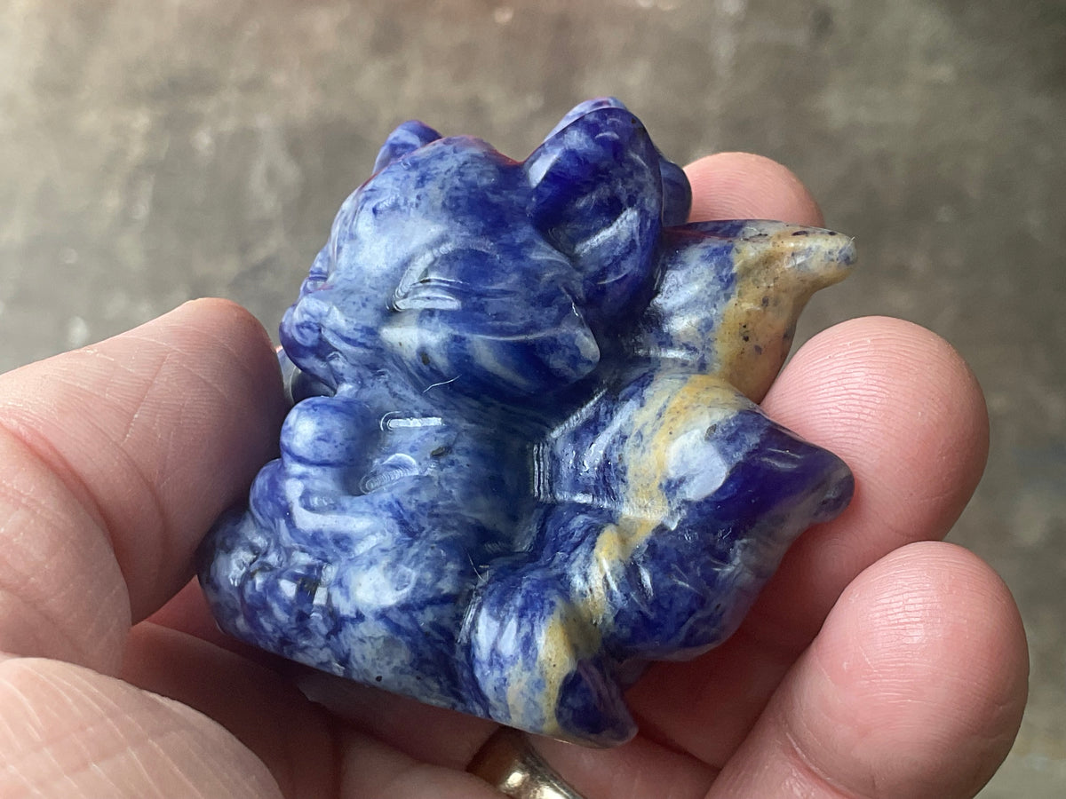108g Sodalite Nine Tailed Fox Carving